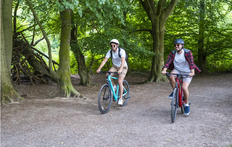 estarli e28 Electric Sports Hybrid Bike Blue-1